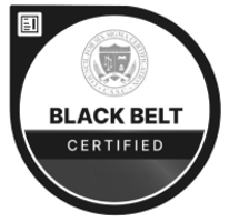 Lean Six Sigma Black Belt